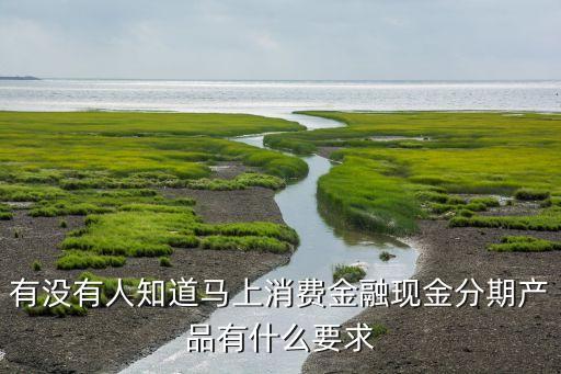馬上貸有什么要求，馬上分期需要什么條件