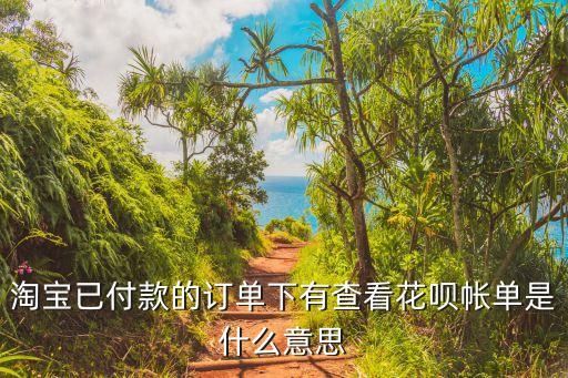 淘寶花唄賬單什么意思，我想問(wèn)一下這個(gè)賬單是什么意思在螞蟻花唄里