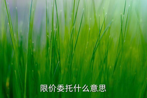 賣出限價(jià)委托是什么意思，什么是限價(jià)委托