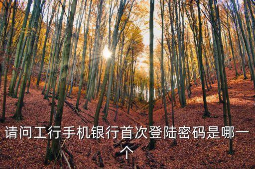 工行手機(jī)銀行初次登錄密碼是什么意思，工商銀行手機(jī)銀行登錄密碼指的是什么