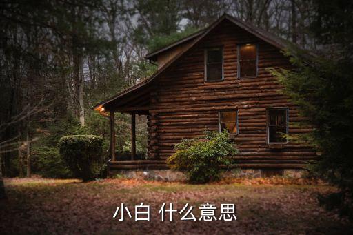 小白指什么，小白是什么