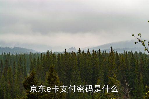 京東e卡支付密碼是什么