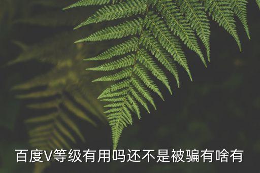 p2p百度v認證有什么用，百度V等級有用嗎還不是被騙有啥有