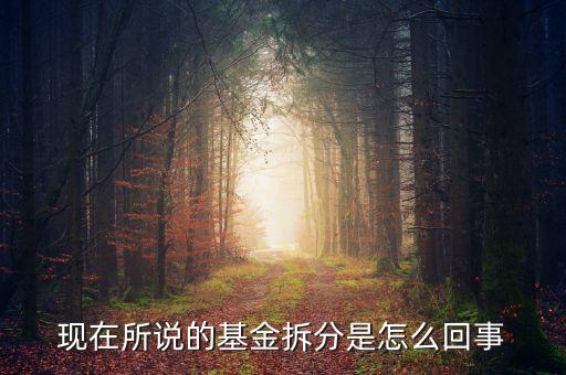 現(xiàn)在所說的基金拆分是怎么回事