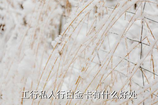 工行私人行白金卡有什么好處
