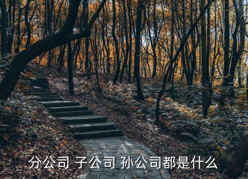 分公司 子公司 孫公司都是什么