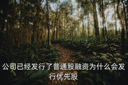 公司已經(jīng)發(fā)行了普通股融資為什么會發(fā)行優(yōu)先股
