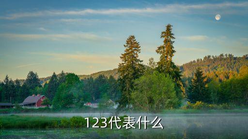 123代表什么
