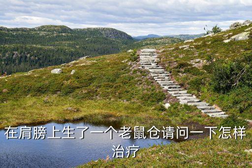 什么叫老鼠倉(cāng)，什么叫華夫板