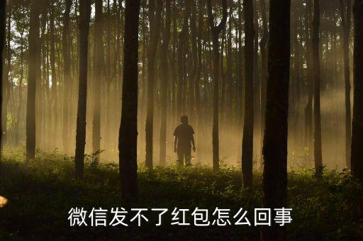 微信發(fā)不了紅包怎么回事