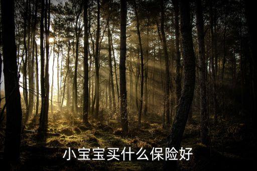 小寶寶買什么保險好