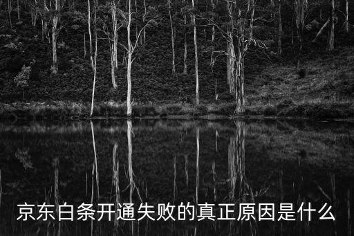 為什么申請白條失敗，京東白條開通失敗的真正原因是什么