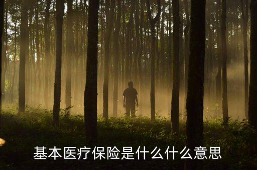 基本醫(yī)療保險(xiǎn)是什么什么意思