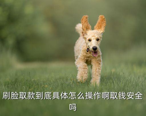 提現(xiàn)刷臉是什么，在POS機(jī)上取現(xiàn) 人臉識別安全嗎