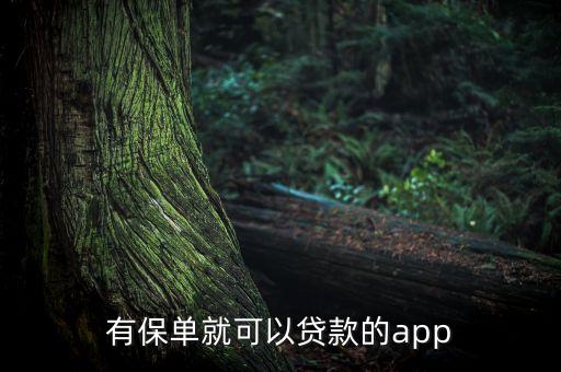 有保單就可以貸款的app