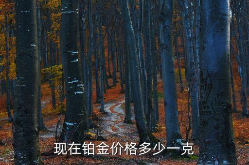 現(xiàn)在鉑金價(jià)格多少一克