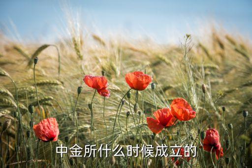 中金所什么時候成立的