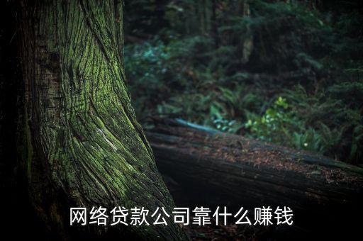 貸款靠什么賺錢(qián)，網(wǎng)絡(luò)貸款公司靠什么賺錢(qián)