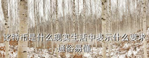 比特幣表示什么意思，比特幣是怎么回事