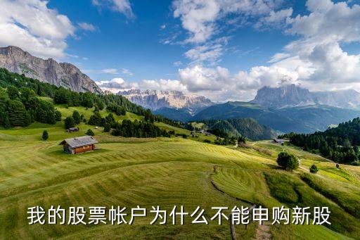 為什么我的賬戶不能申購新股，我的股票帳戶為什么不能申購新股