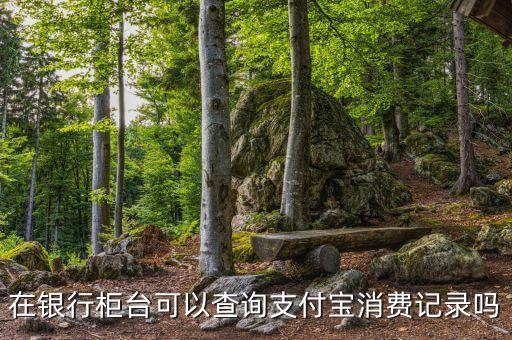 銀行柜臺(tái)可以查什么，中國(guó)工商銀行柜臺(tái)可以查詢?nèi)暌詢?nèi)的轉(zhuǎn)賬記錄嗎