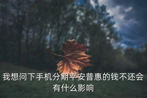 我想問下手機(jī)分期平安普惠的錢不還會(huì)有什么影響