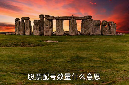 股票配號(hào)數(shù)量什么意思
