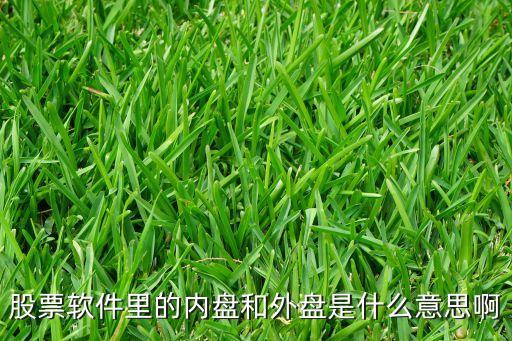 股票軟件里的內盤和外盤是什么意思啊