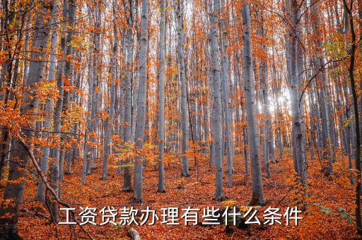一般工薪貸需要什么，工資貸款辦理有些什么條件