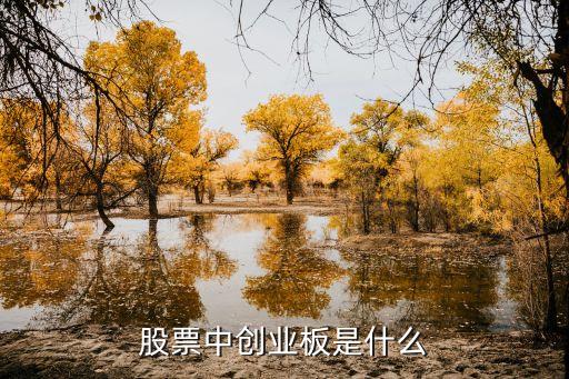 創(chuàng)業(yè)板指 是什么股票，創(chuàng)業(yè)板是指哪些股票一覽