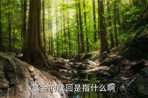 基金的贖回是指什么啊
