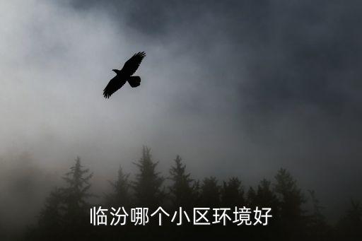 臨汾建N小區(qū)怎么樣，臨汾什么地方私家車多