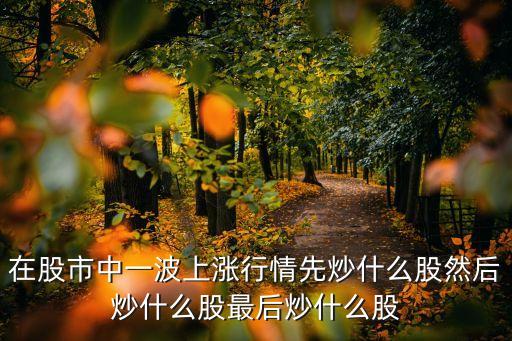 在股市中一波上漲行情先炒什么股然后炒什么股最后炒什么股