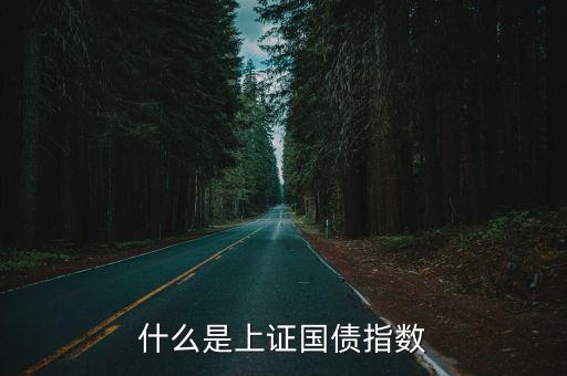 國債指數(shù)是什么，什么是上證國債指數(shù)