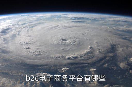 b2c電子商務(wù)平臺有哪些