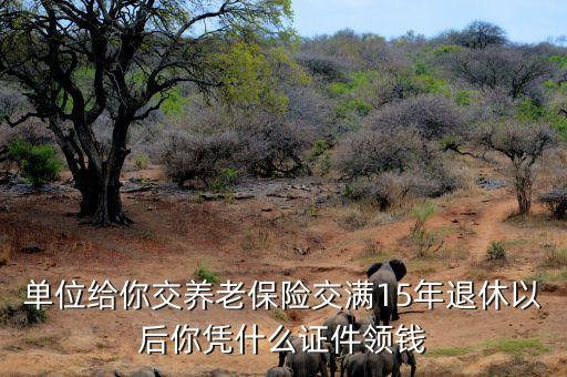 單位給你交養(yǎng)老保險交滿15年退休以后你憑什么證件領(lǐng)錢