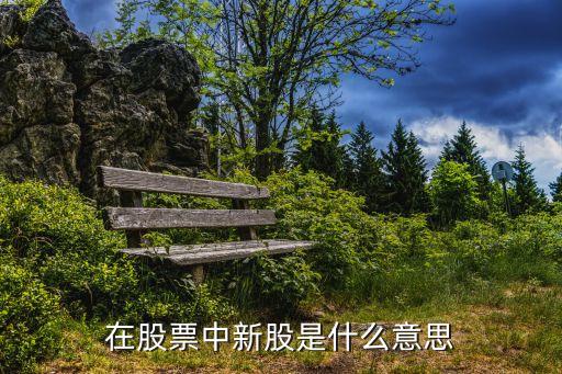 什么叫中新股 多少錢，在股票中新股是什么意思
