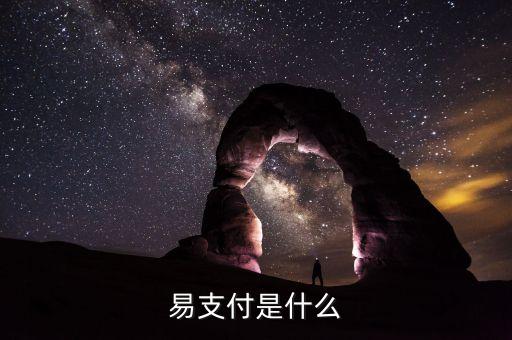 什么是支付易，pay easy是什么意思