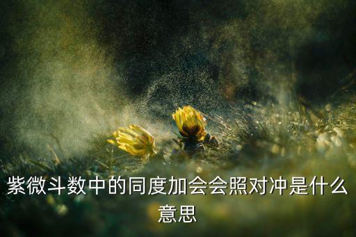 對沖是什么，紫微斗數(shù)中的同度加會(huì)會(huì)照對沖是什么意思