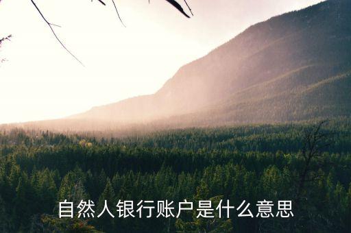 自然人銀行賬戶是什么意思