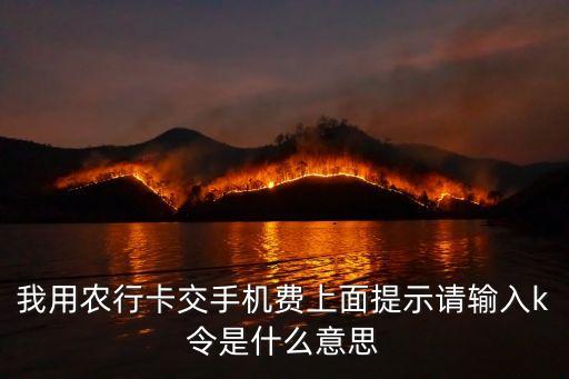 我用農(nóng)行卡交手機費上面提示請輸入k令是什么意思