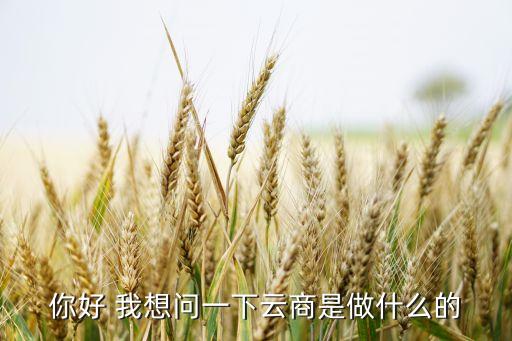 建信云商做什么的，你好 我想問一下云商是做什么的