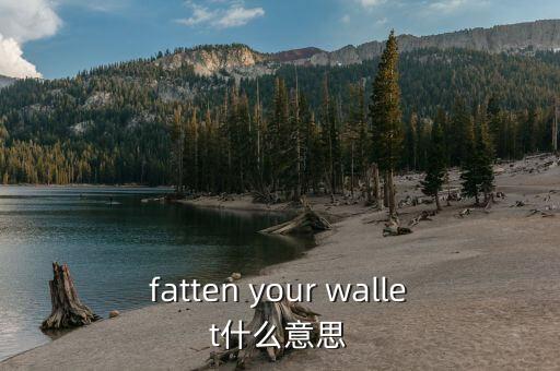 錢(qián)包鼓起來(lái)是什么意思，fatten your wallet什么意思