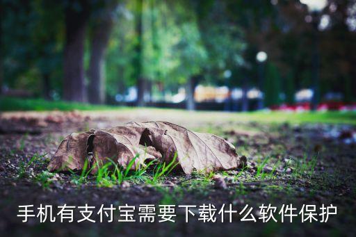 支付寶賬號(hào)用什么安全，手機(jī)有支付寶需要下載什么軟件保護(hù)