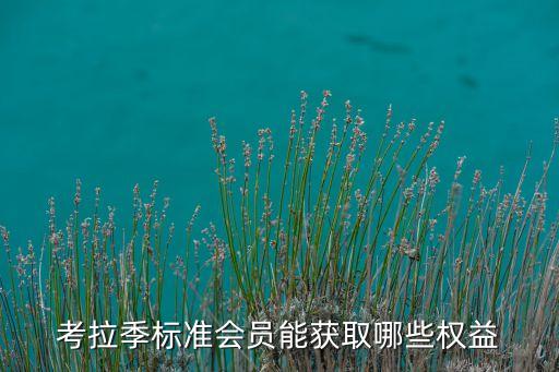 考拉季標(biāo)準(zhǔn)會(huì)員能獲取哪些權(quán)益