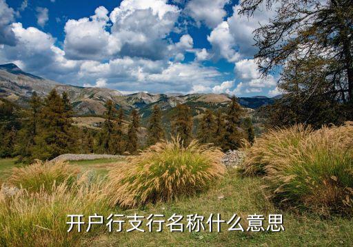 開戶網(wǎng)點 開戶支行名稱是什么，什么是開戶行支行名稱