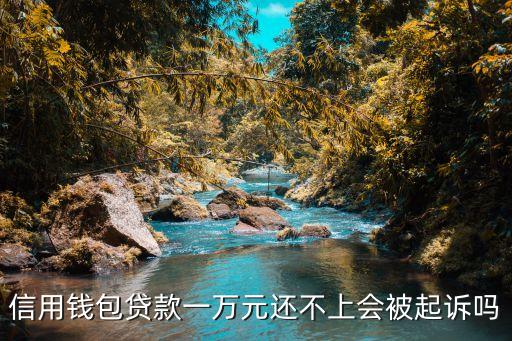 錢包貸是什么，錢包金融有什么背景