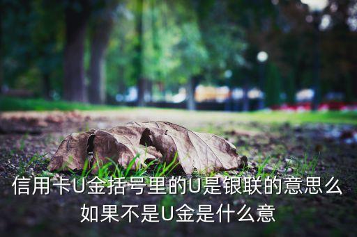 u金卡和銀聯(lián)有什么區(qū)別，信用卡U金括號里的U是銀聯(lián)的意思么如果不是U金是什么意