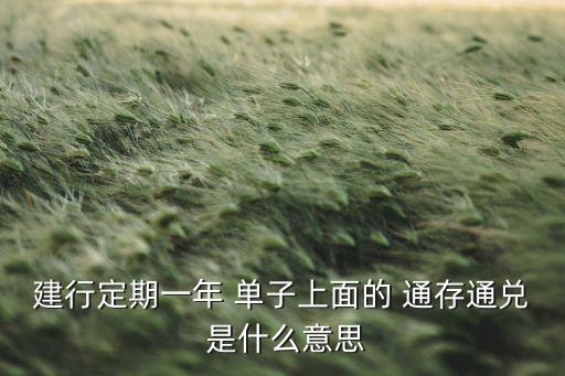 建行定期一年 單子上面的 通存通兌 是什么意思