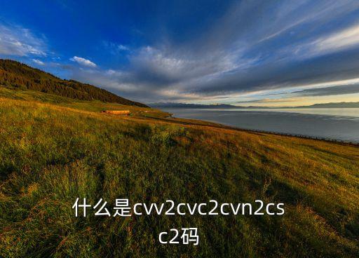 什么是cvv2cvc2cvn2csc2碼